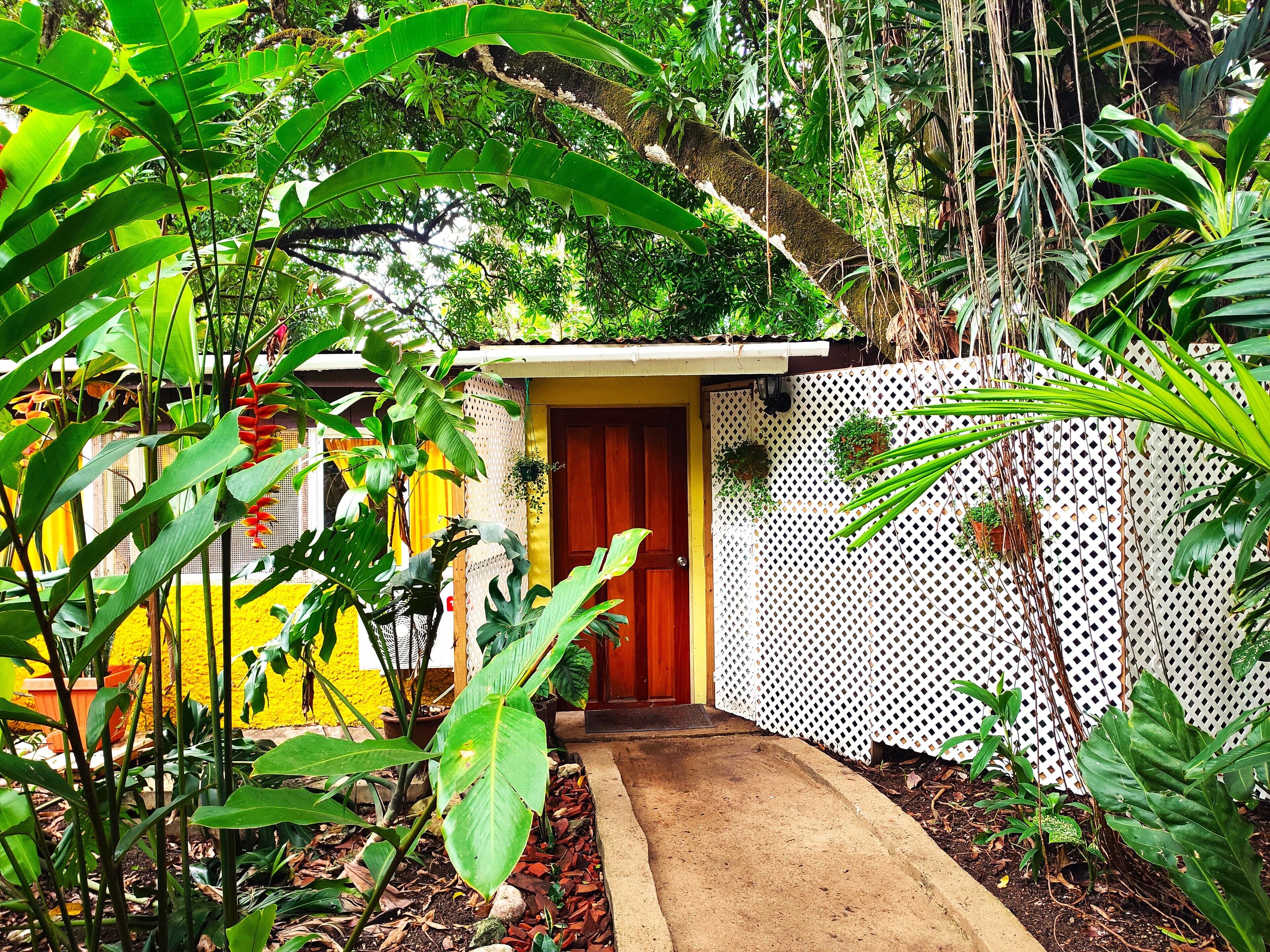 Departamento familiar, 2 habitaciones, acceso a la alberca, vista al jardín | Camas con efecto memoria y muebles diferentes 