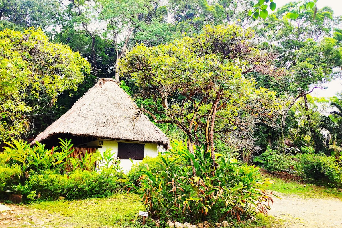 A thatched-roof hut surrounded by lush greenery and trees.