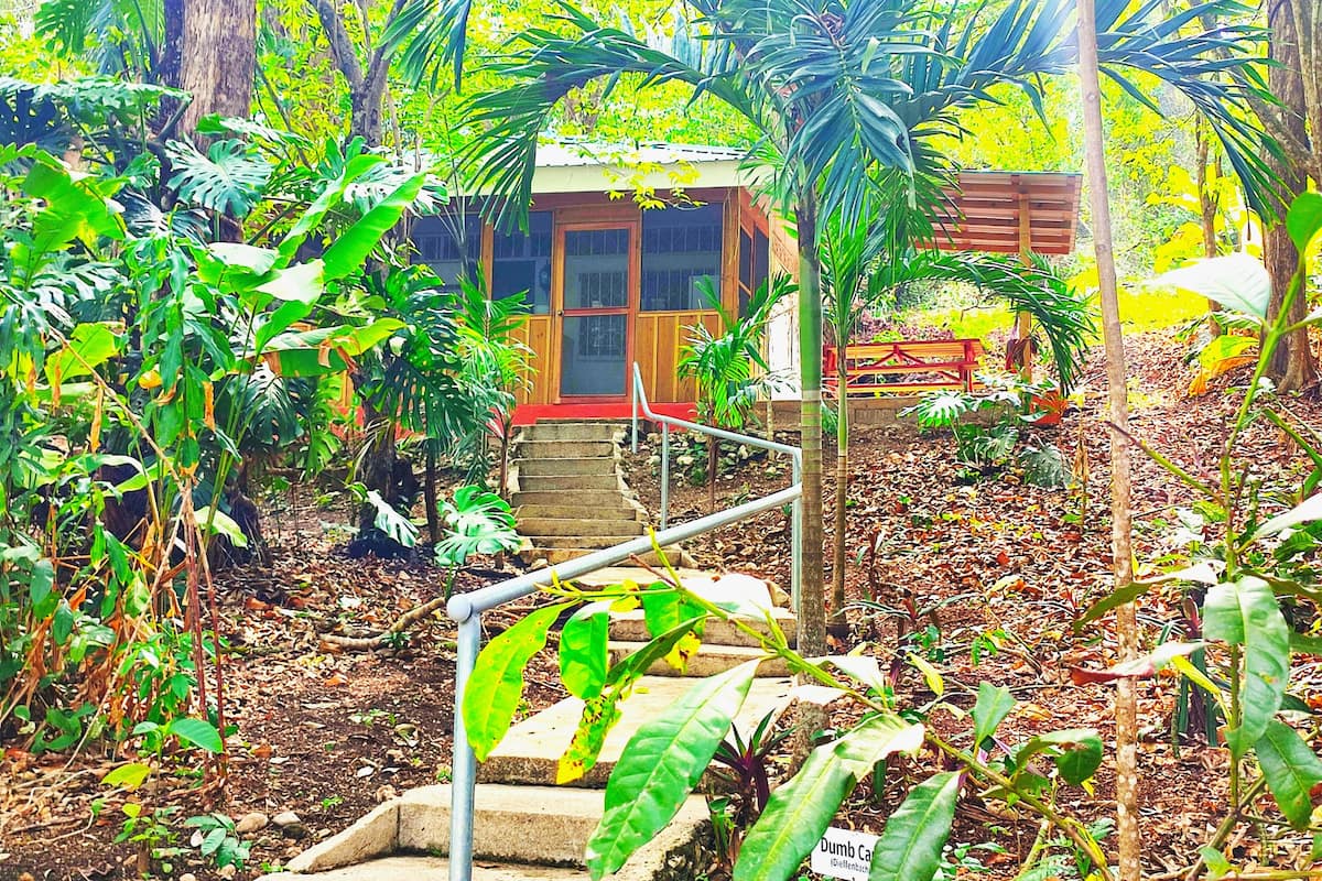 A garden with a small building, steps leading up to it, and various plants.