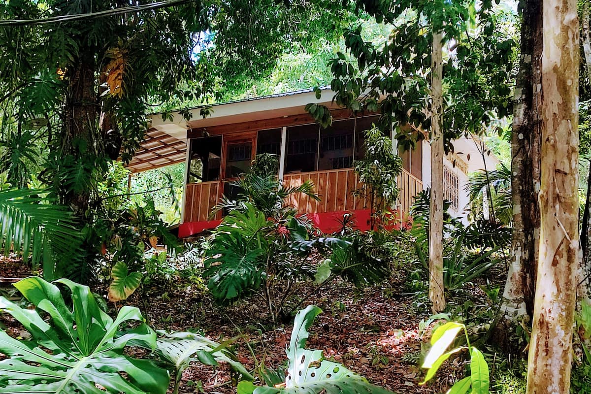 A house surrounded by dense tropical vegetation.