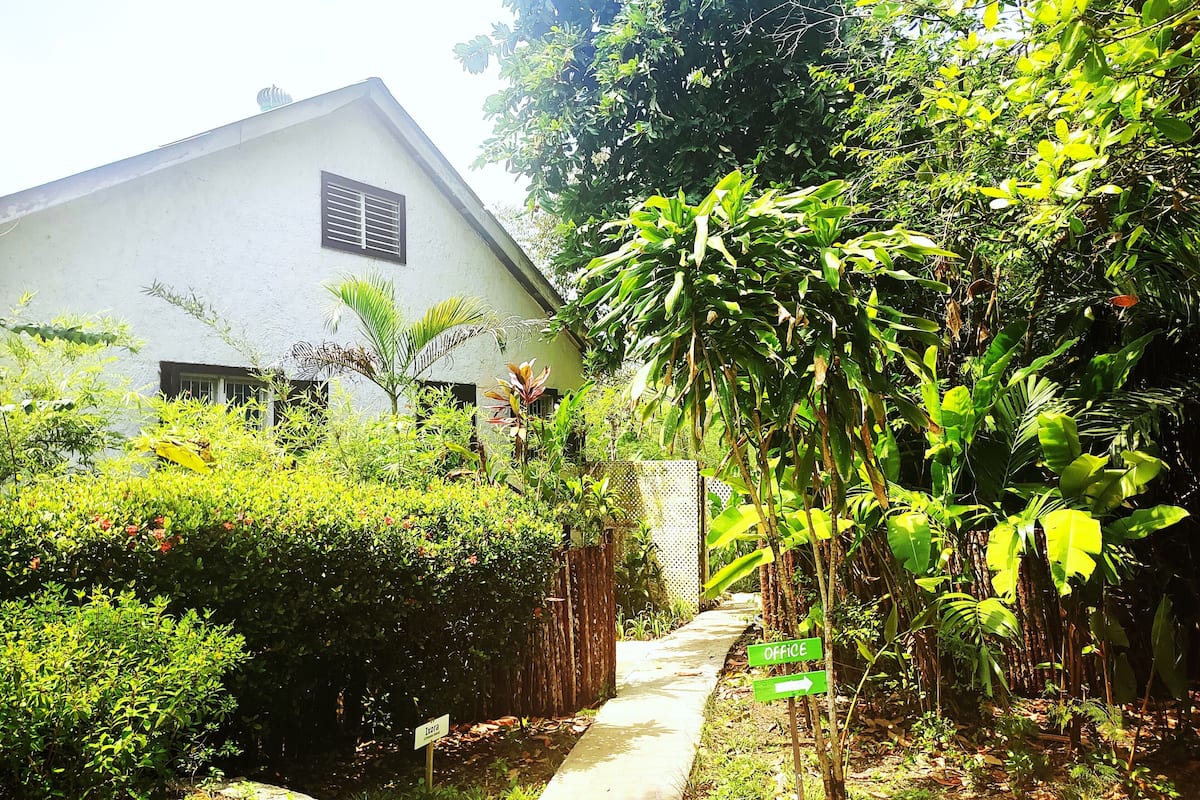 A white building with a sloped roof, surrounded by dense greenery and a pathway leading to an 'Office' sign.