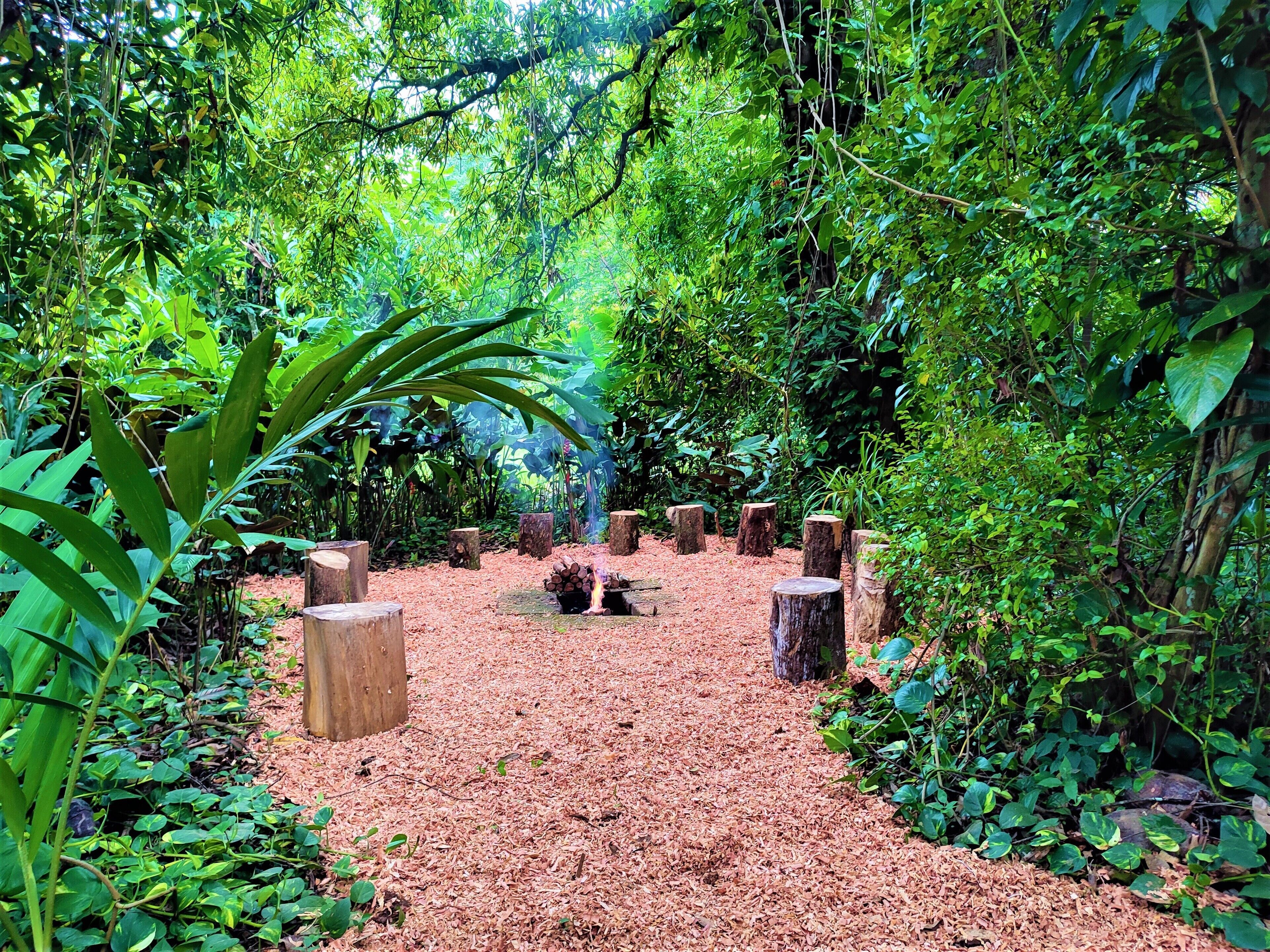 Área de parrillas y picnic