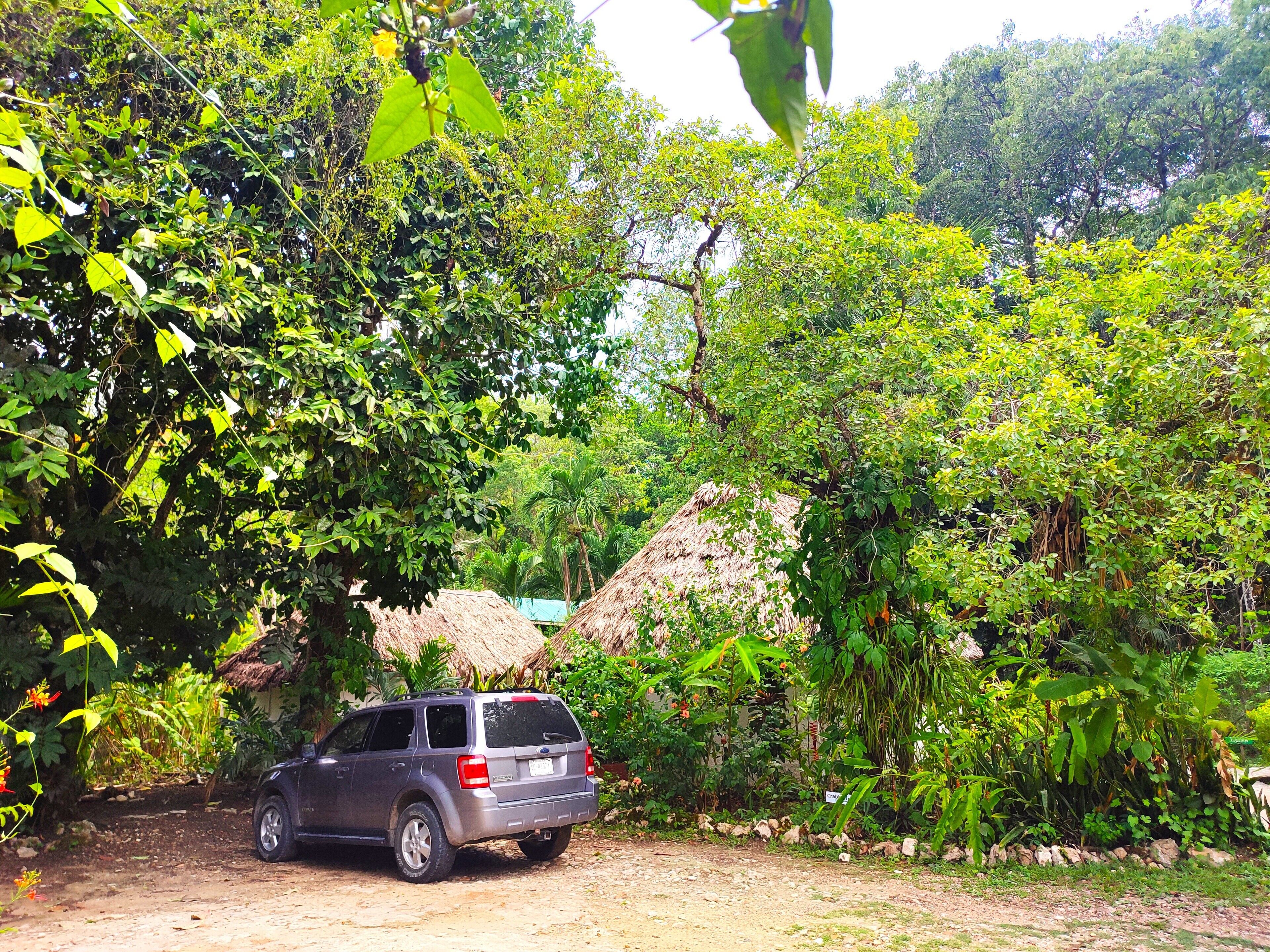 A vehicle parked in a natural setting with dense foliage and a thatched structure in the background.