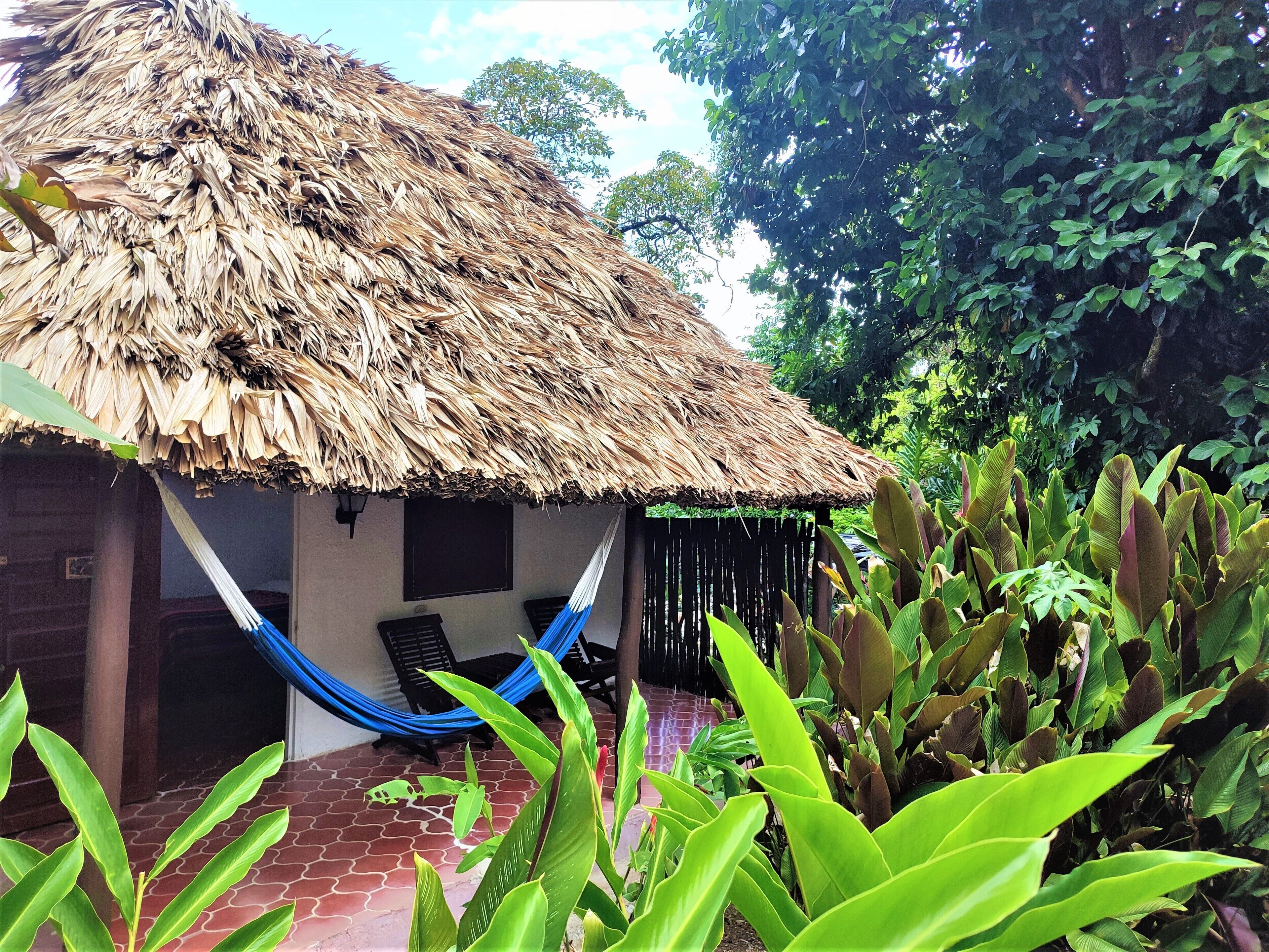 Kabin Standar, Beberapa Tempat Tidur, akses ke kolam renang, pemandangan kebun | Pemandangan dari kamar
