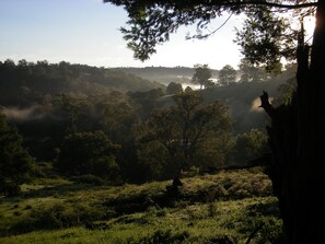 Terrenos do alojamento