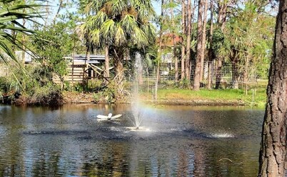 The Suite at Enchanted Acres Ranch