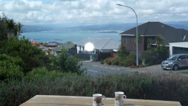 Una mesa de picnic de madera con dos tazas, rodeada de follaje, con vistas a una zona residencial con casas y el mar.