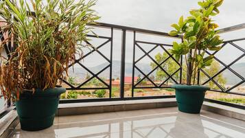 Dos plantas en macetas en un balcón con barandilla de metal y vistas a un paisaje montañoso.