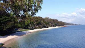 Ein Strand mit klarem, blauem Wasser, sandigem Ufer und dichter, grüner Vegetation.
