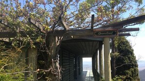 A covered wooden walkway leading to a sign that reads "Araceld." - Graceland Mount Victoria (Mount Victoria)