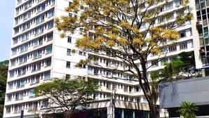 A multi-story building with a modern architectural design, featuring a prominent tree in front. - Spacious 2-bedroom apartment on Paulista Avenue. (São Paulo)