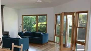 Älytelevisio, takka, DVD-soitin, kirjoja