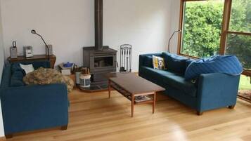 Älytelevisio, takka, DVD-soitin, kirjoja