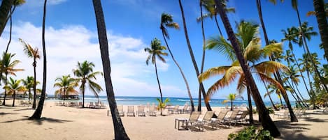 على الشاطئ، كراسي للتشمس، مناشف للشاطئ