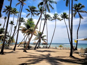 On the beach, sun loungers, beach towels - Beautiful Beach Front Condo, Club Hemingway, Juan Dolio, D.R (Juan Dolio)