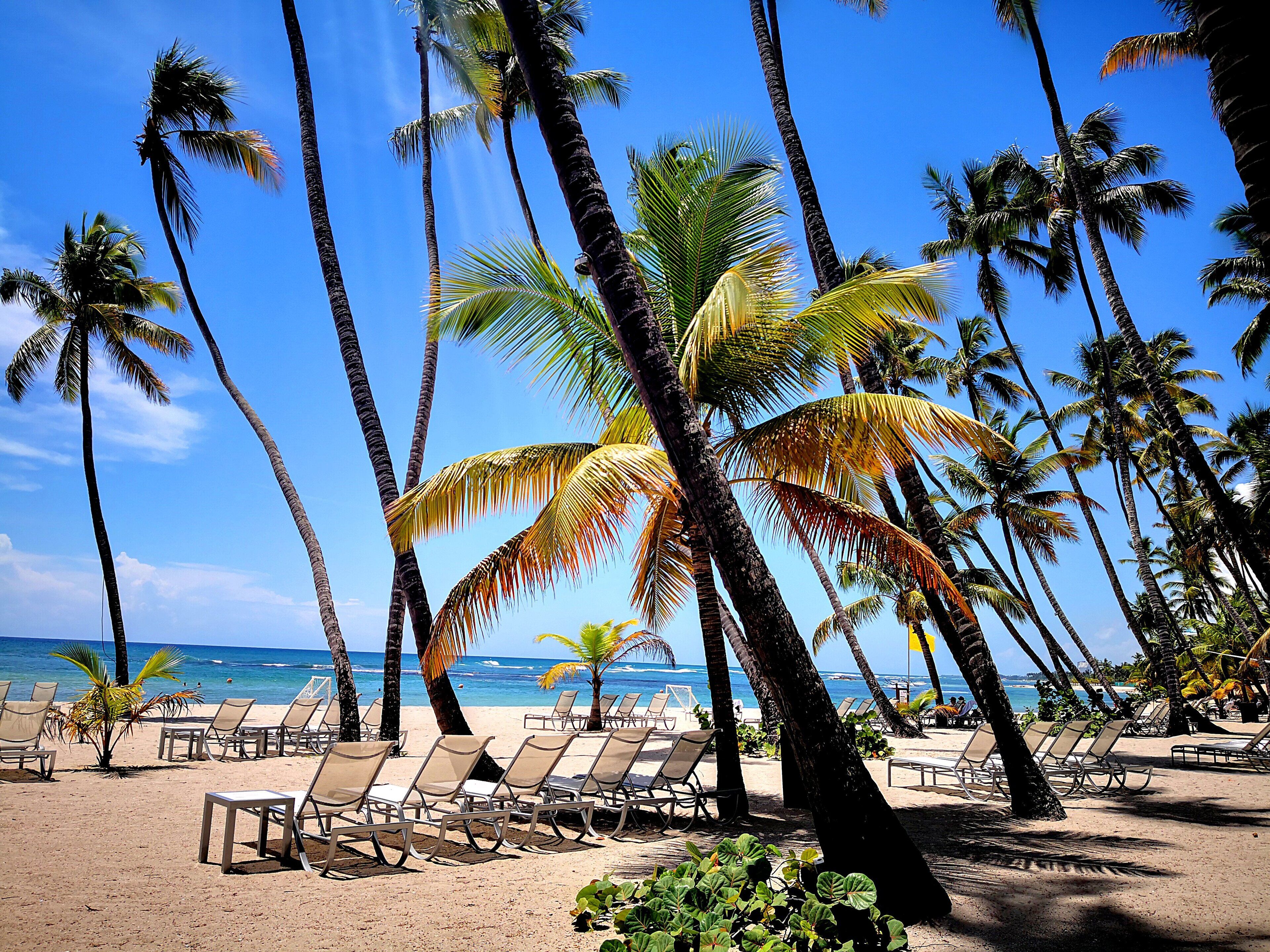 On the beach, sun loungers, beach towels