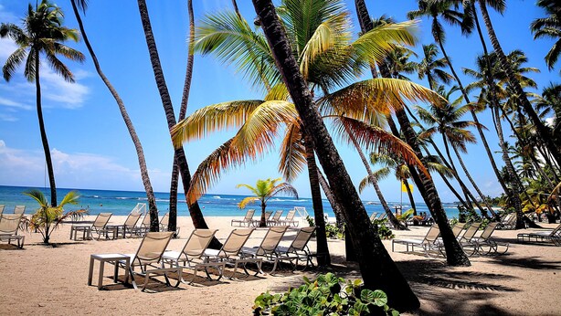 A beach with palm trees, lounge chairs, and a clear view of the ocean. - Beautiful Beach Front Condo, Club Hemingway, Juan Dolio, D.R (Juan Dolio)