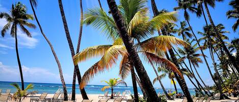 On the beach, sun-loungers, beach towels