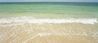 Raphael Suite: 2/2 Studio Rooms - Pool, Patio w/grill, 2 blocks from Duval!