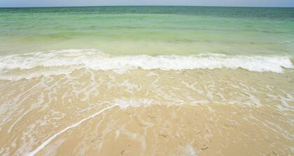 Pet friendly zwei Blocks von der berühmten Duval St shuffle