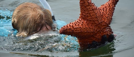 Liegestühle, Strandtücher