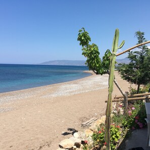 A beach with clear blue water, a sandy shore, and a cactus plant. - Villa With Communal Pool (Polis Chrysochous)