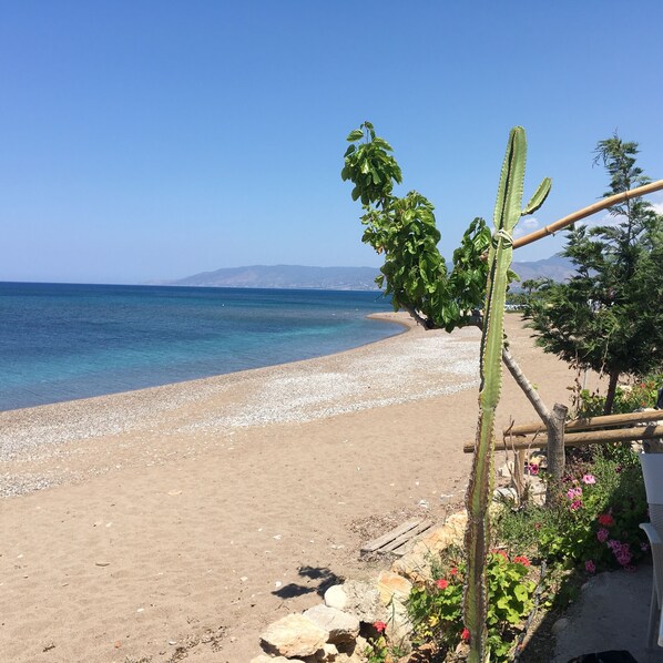 Plage à proximité, chaises longues, serviettes de plage