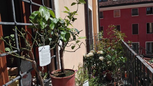 VICENZA HISTORICAL CENTER APARTMENT