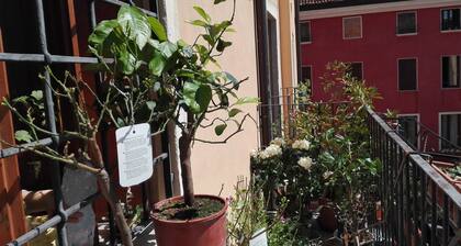 VICENZA HISTORICAL CENTER APARTMENT