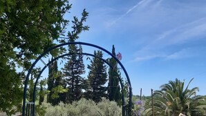 A pathway leading to a swimming pool surrounded by lush greenery and a clear blue sky.