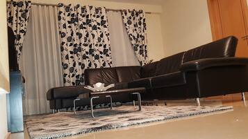 TV, fireplace, video games, DVD player