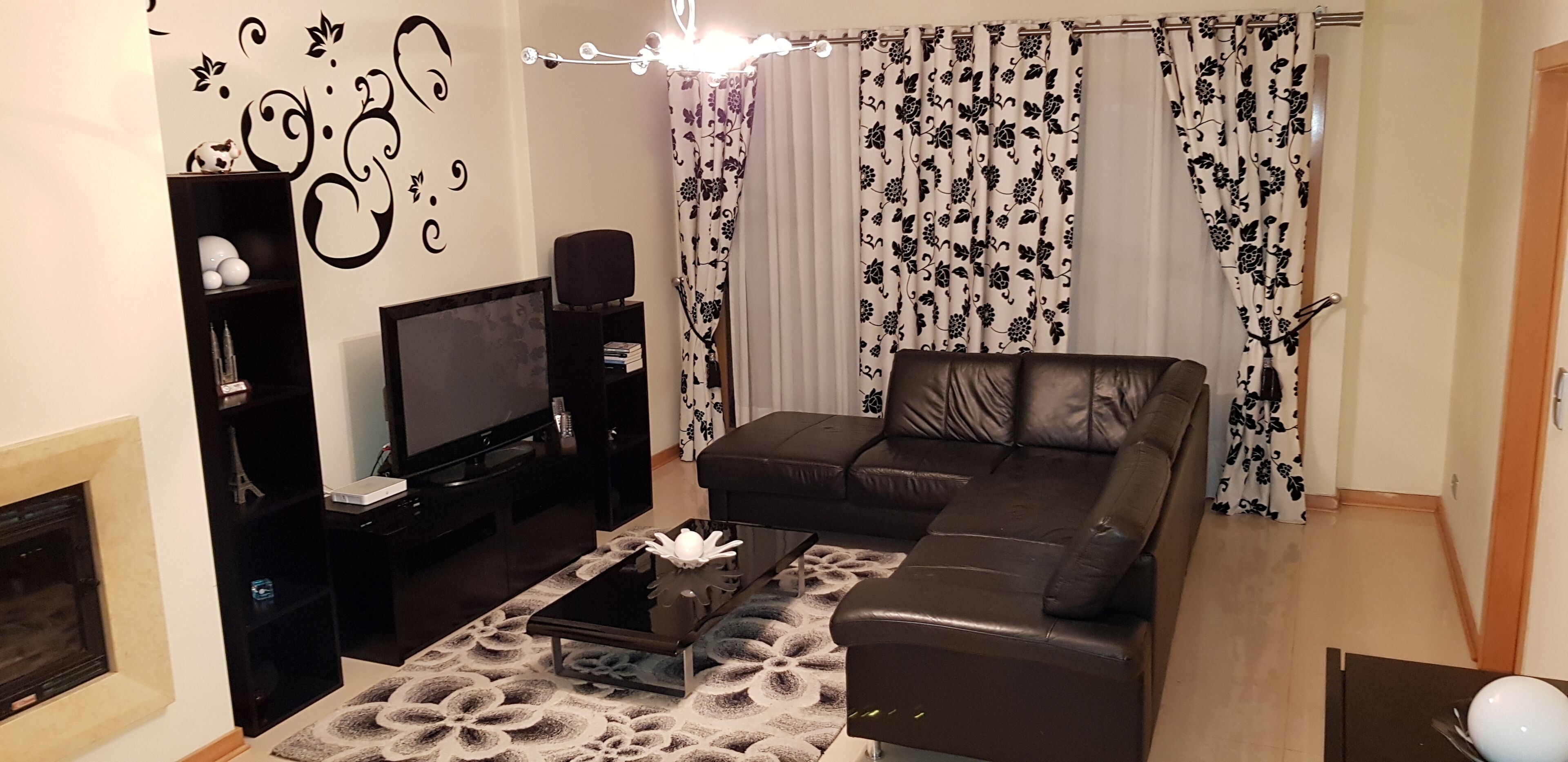 TV, fireplace, video games, DVD player