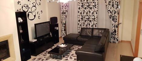 TV, fireplace, video games, DVD player