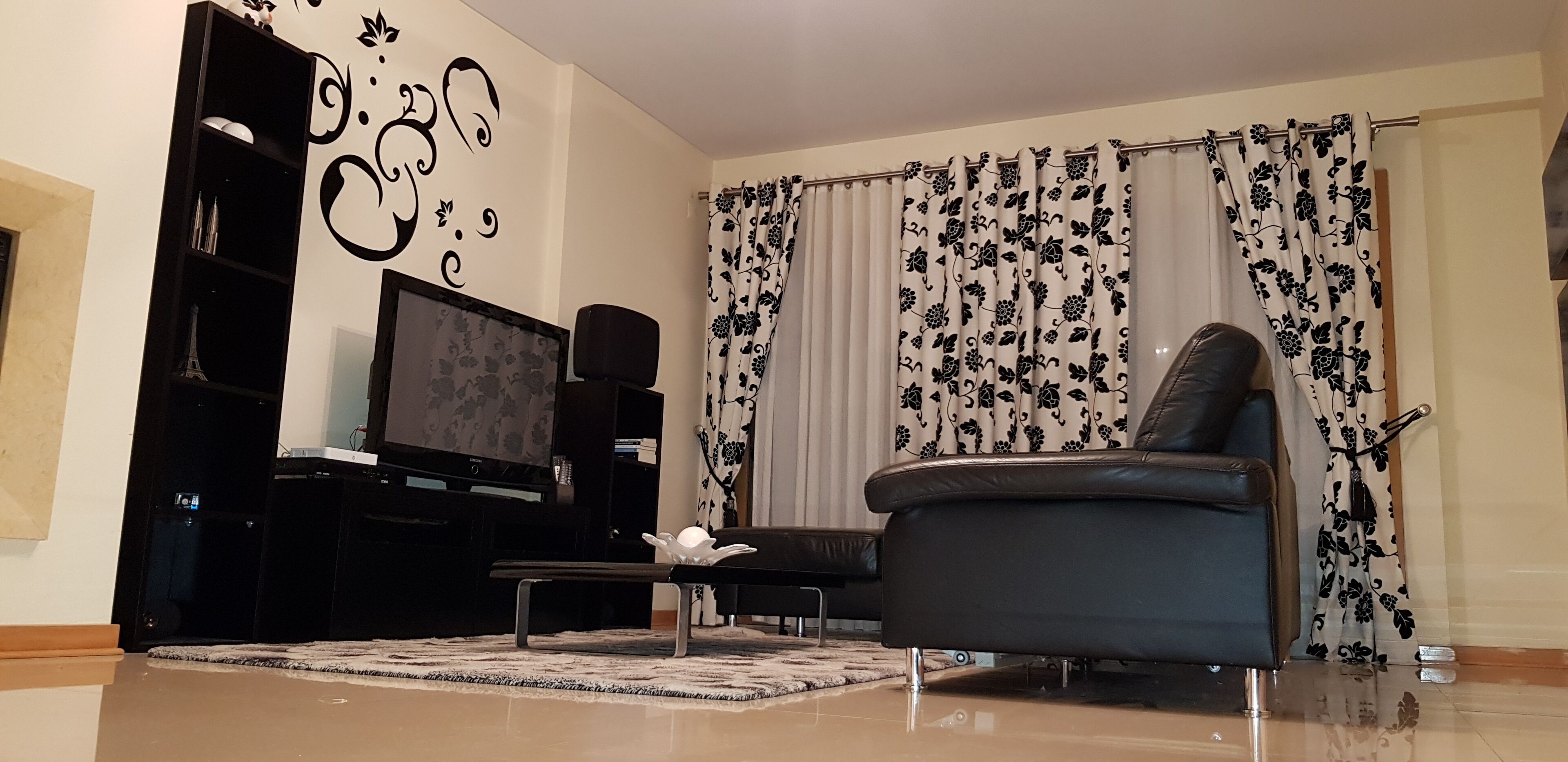 TV, fireplace, video games, DVD player