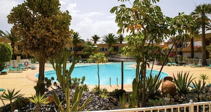 Casa Lee a charming poolside apartment in the beautiful location of Corralejo.