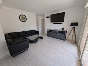 Smart TV, fireplace, books