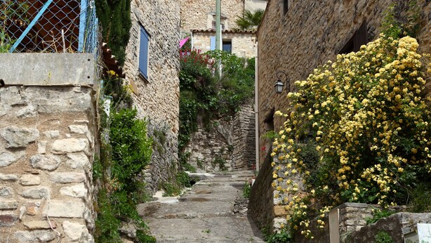 Un étroit sentier pavé de pierres, bordé de bâtiments en pierre rustique, avec un petit jardin aménagé d’un côté.