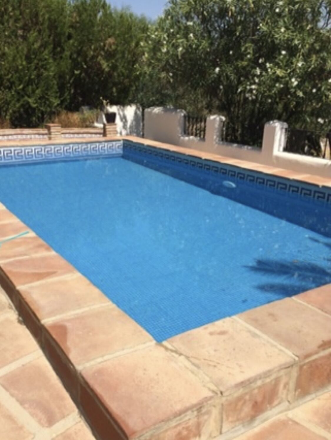 Une piscine rectangulaire dont l’intérieur est revêtu de carreaux bleus et dont le bord est également carrelé.