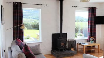 Télévision, cheminée