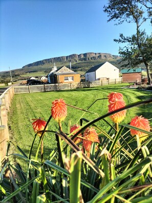 Property grounds - Cottage retreat on the Causeway Coastal Route (Limavady)