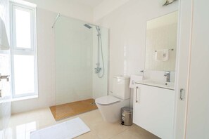 A modern bathroom with a glass shower enclosure, a toilet, a sink, and a mirror.