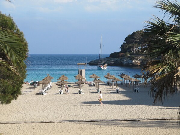 Plage, chaises longues