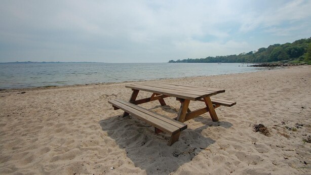 Ein Holztisch für ein Picknick auf einem sandigen Strand mit ruhiger See und Bäumen in der Ferne.