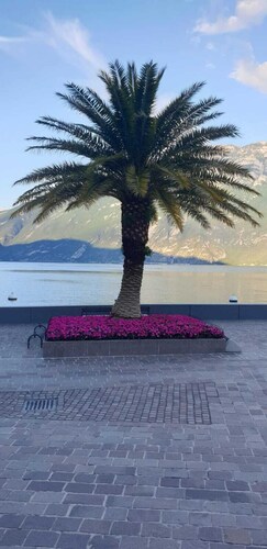 Sensation de vacances Lac de Garde Limone 