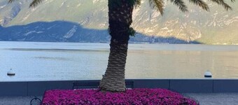 Holiday feeling Lake Garda Limone 