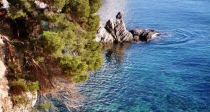 **** Beautiful T2, garden of 70 m2, quiet, sunny, 50 meters from the beach