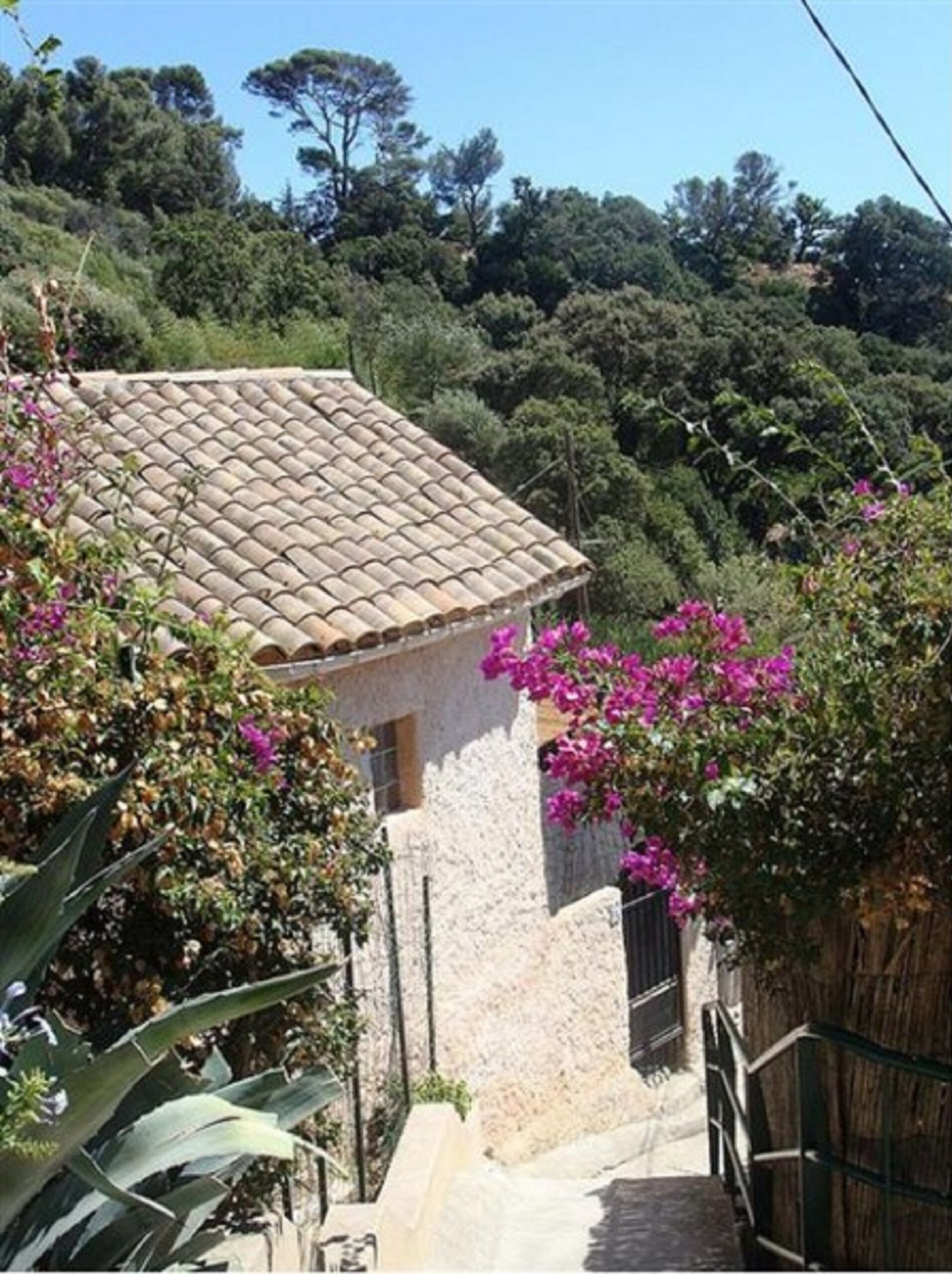 A stone building with a tiled roof, surrounded by lush greenery and flowering plants.