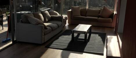 Fernseher, Kamin, DVD-Player, BĂŒcher