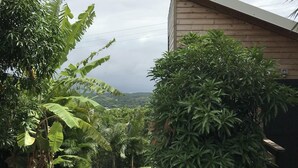 Un camí de formigó estret que porta a un edifici de fusta amb teulada inclinada, envoltat per vegetació tropical densa.