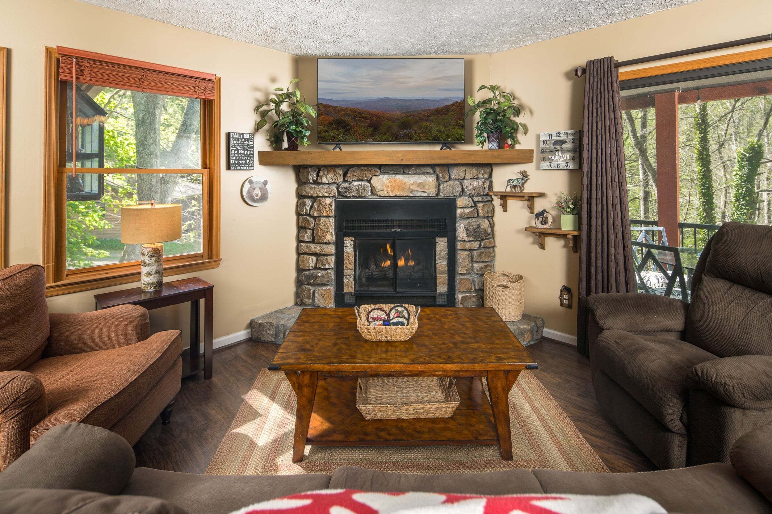 TV, fireplace, DVD player